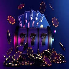 bingoplay
